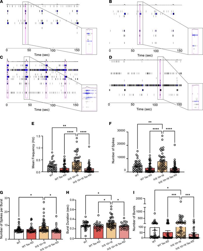 Homeostatic control of neuronal excitability is rescued following loweri...