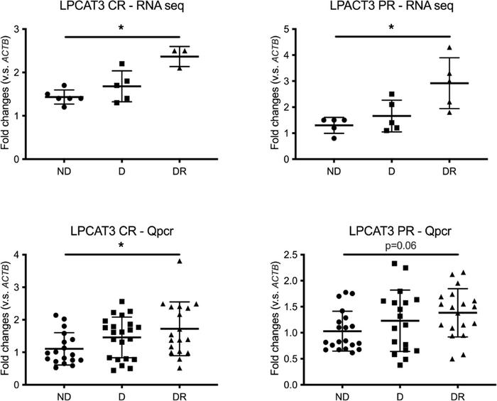 RNA deep sequencing and qPCR.
Relative expression of the lipid metabolis...