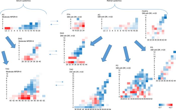 Similar lipid alterations in serum and retinal suggesting parallel chang...