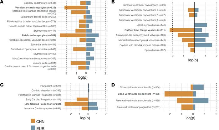 Gene enrichment of de novo damaging variants in cell type clusters impli...