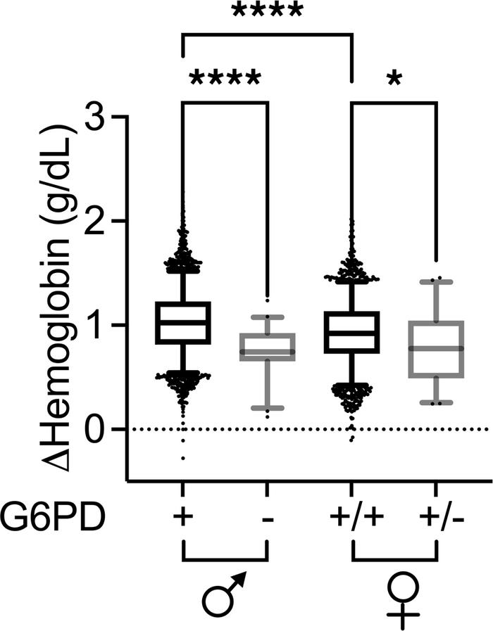 Adjusted hemoglobin increments stratified by sex and glucose-6-phosphate...