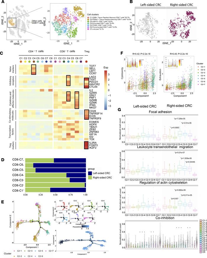 Right-sided CRC occupies a large proportion of highly migratory exhauste...