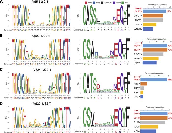 Sequence motif analysis of high-frequency groups of TCRs.
Local alignmen...