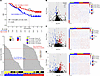 Overall survival analysis of patients with EGFR mutant lung cancer based on