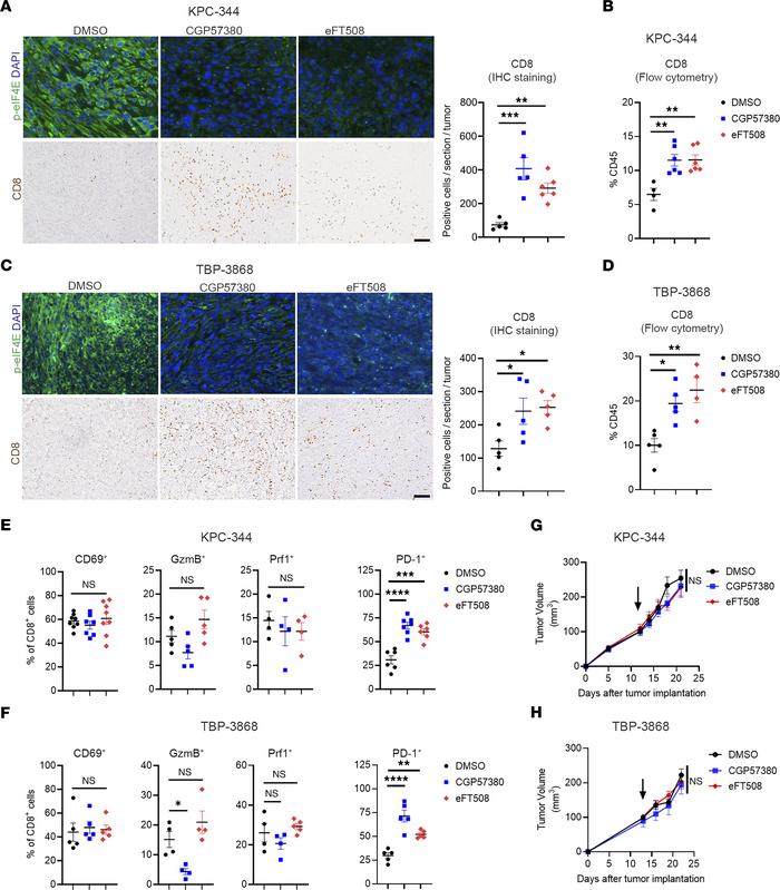 MNK inhibitors increase CD8+ T cells in tumors but induce a T cell exhau...