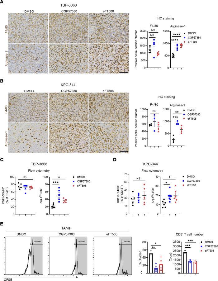 Inhibiting MNKs enhances an immunosuppressive phenotype in tumor-associa...
