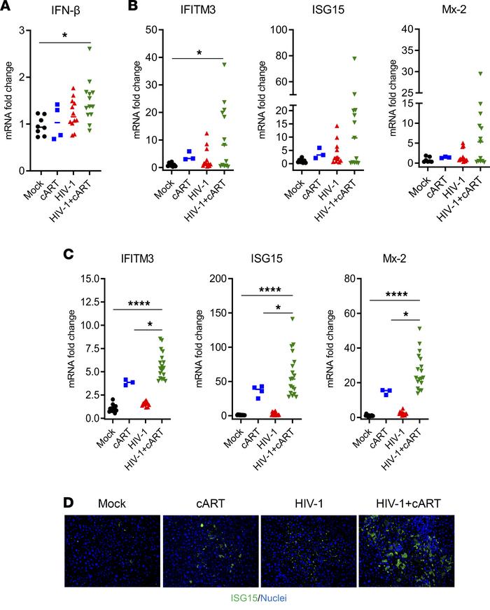 HIV-1 and cART induce IFN-I signaling pathways in the liver of hu-mice.
...