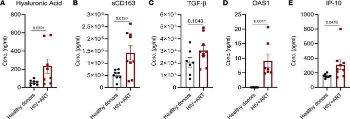 Increase in liver injury, M2-like macrophages, and ISG markers in the bl...