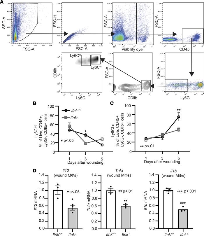 IFN-κ regulates macrophage inflammatory profile during normal tissue rep...
