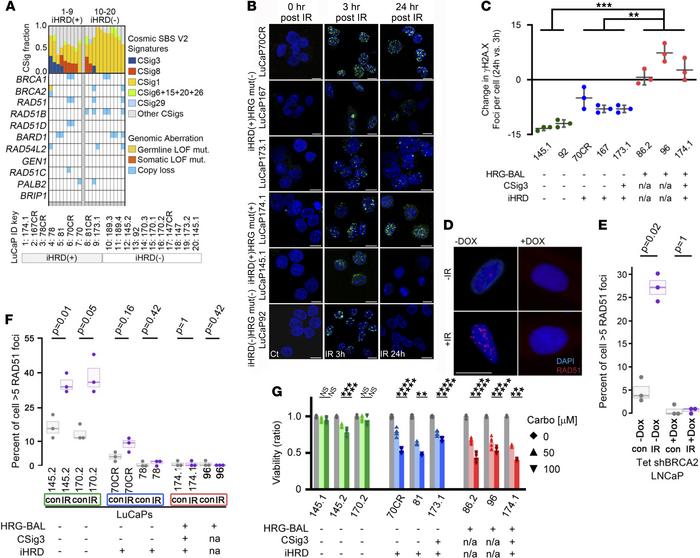 Evaluation of HRR gene mutation, COSMIC signature 3, and integrated asse...