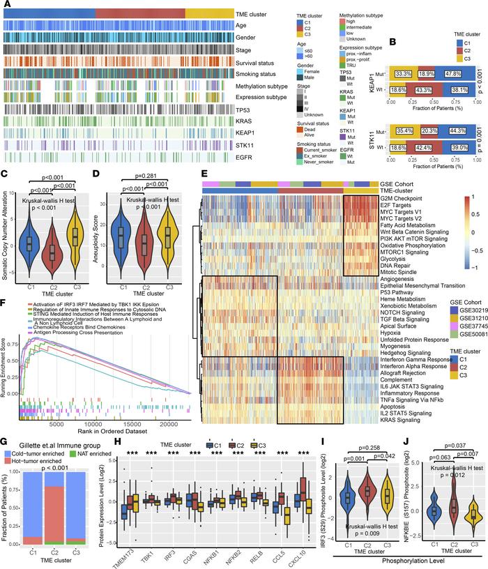 Clinical characteristics and biological processes among 3 TME cell infil...