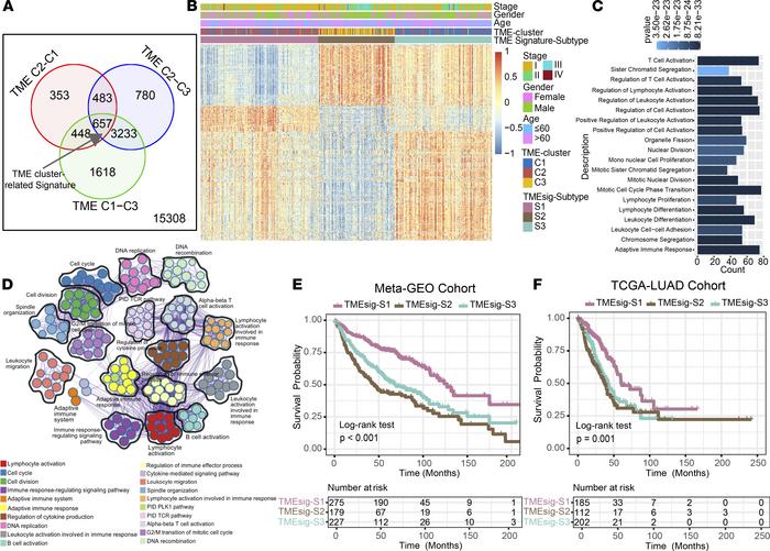 TME phenotype-related DEGs in nonsquamous NSCLC.
(A) A total of 657 over...