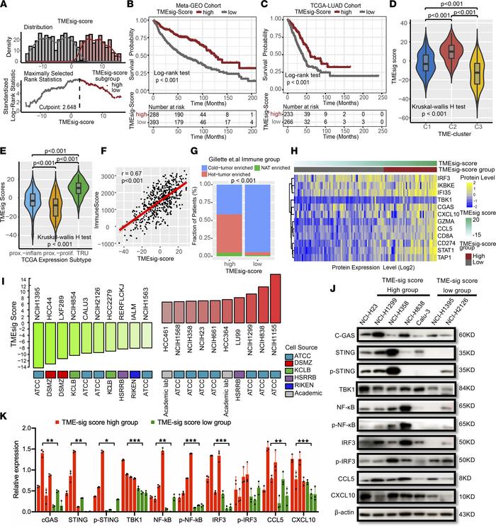 Construction of the TME score and exploration of its biological relevanc...