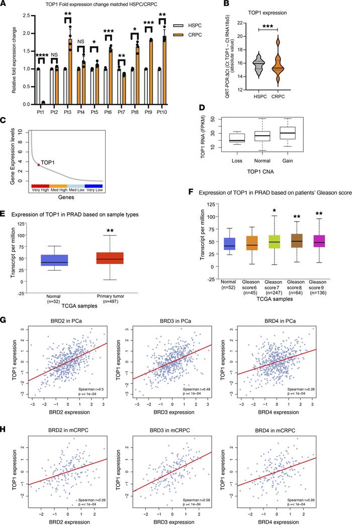 Clinical relevance of TOP1 transcript abundance and its correlation with...