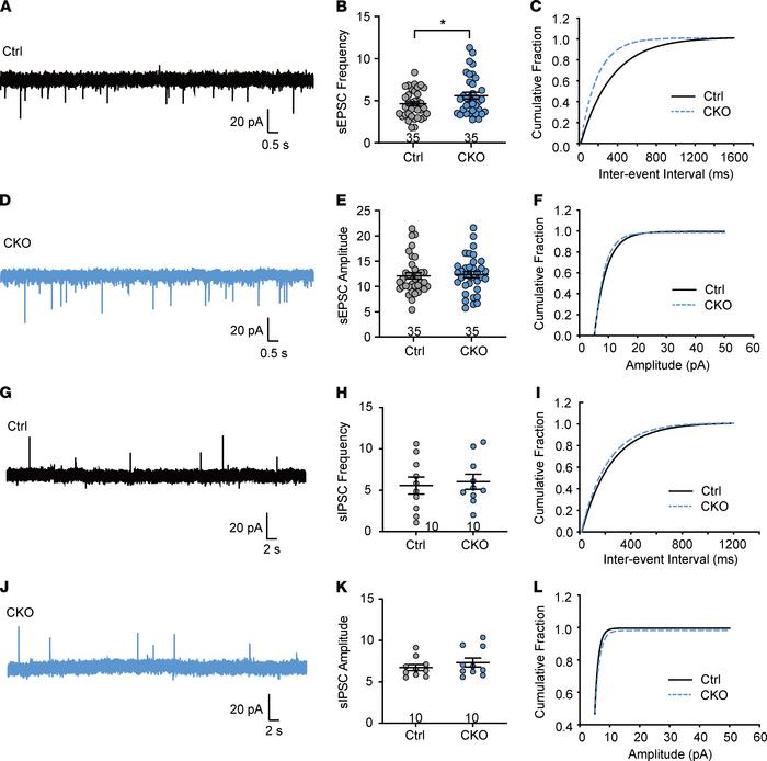 
AC3 CKO alters excitatory synaptic transmission in spinal cord slices.
...