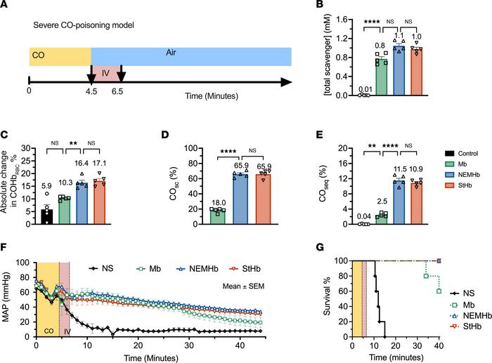 Comparison of ferrous hemoprotein intervention in severe–CO-poisoning mo...
