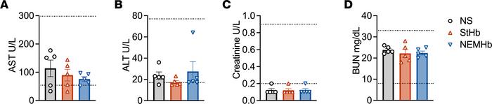 Assessment of liver and kidney function in mice treated with StHb or NEM...