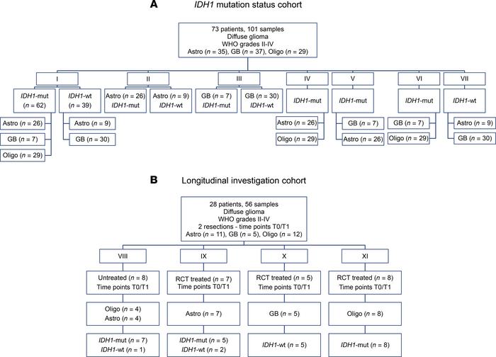 Overview of study cohort and comparisons.
We created 2 cohorts with dist...
