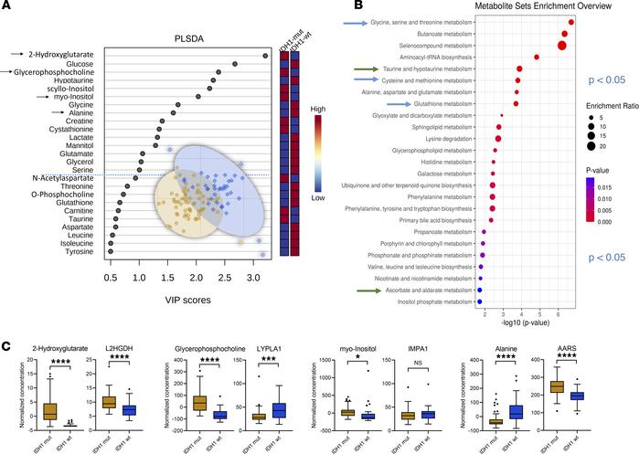 
IDH1 mutation status cohort comparison I.
(A–C) Multivariate partial le...