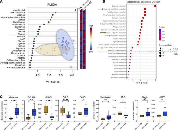 
IDH1 mutation status cohort comparison III.
(A–C) PLS-DA identifies 11 ...