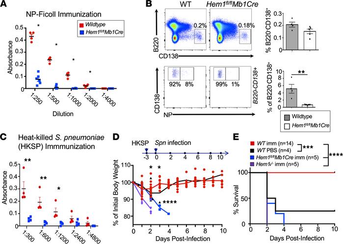 Hem-1 is required for optimal TI Ab production and protection against St...