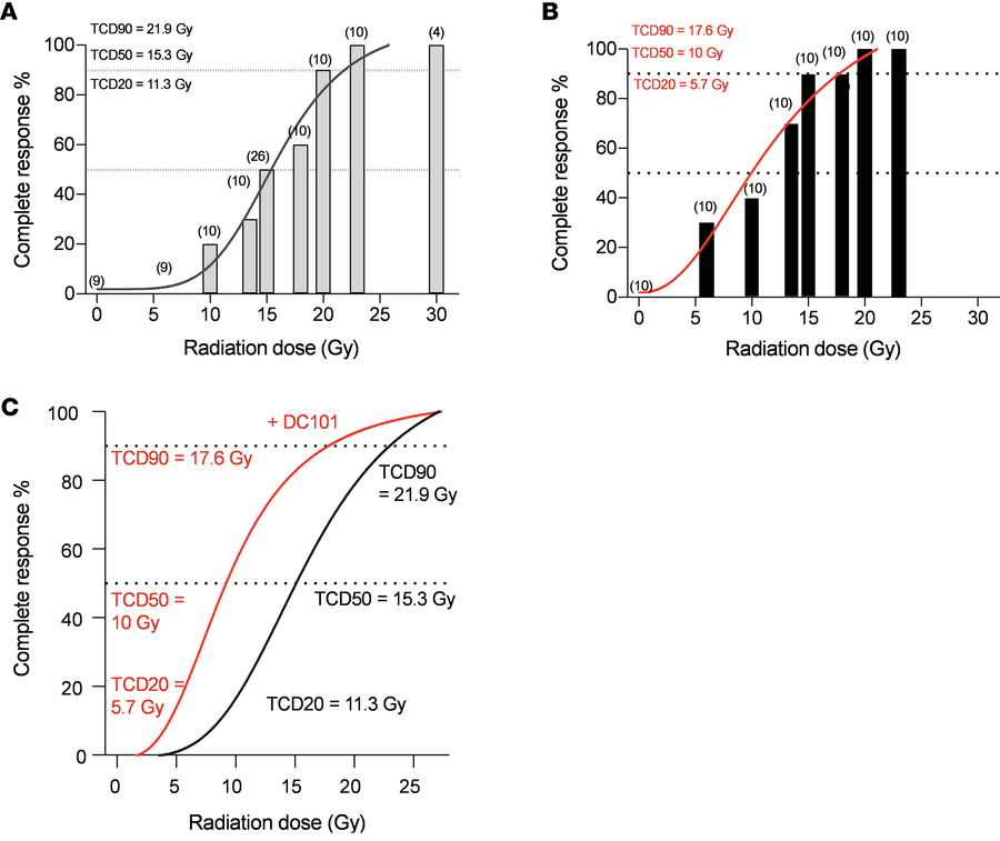 Delivery of the VEGFR2 inhibitor DC101 at 1 hour preceding SDRT is highl...