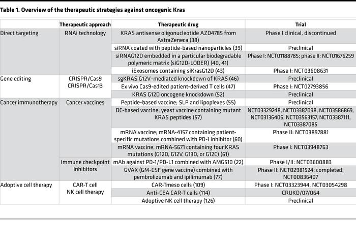 Overview of the therapeutic strategies against oncogenic Kras