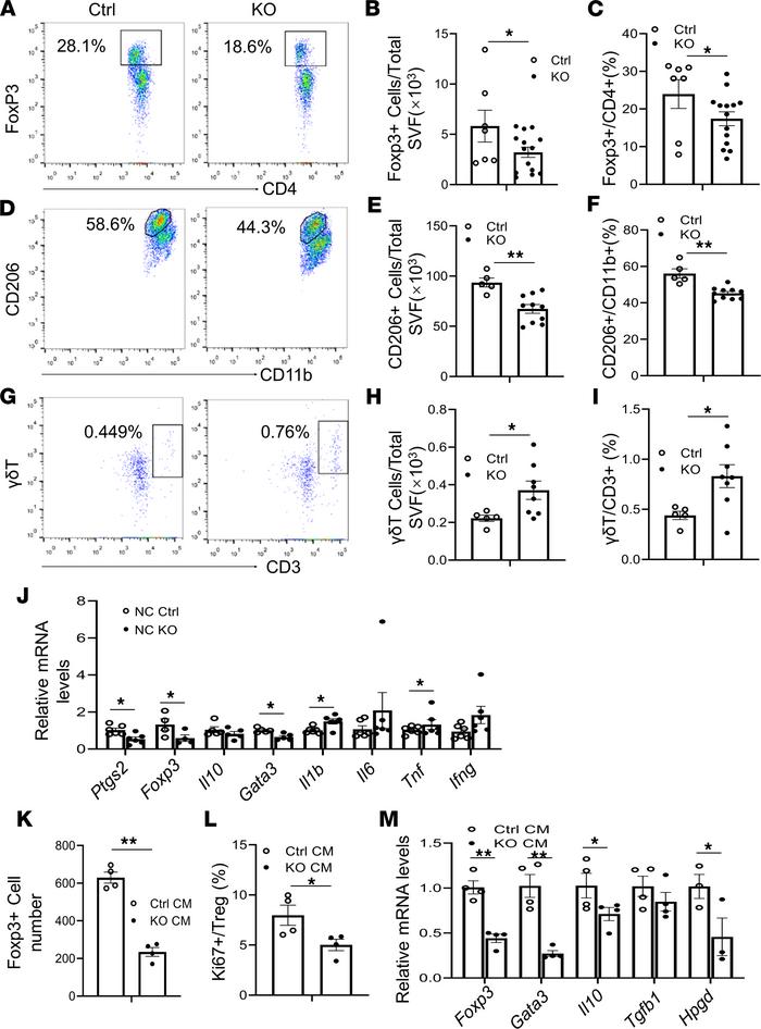 Deficiency of COX-2 in adipocytes reduces Treg frequency and type 2 immu...