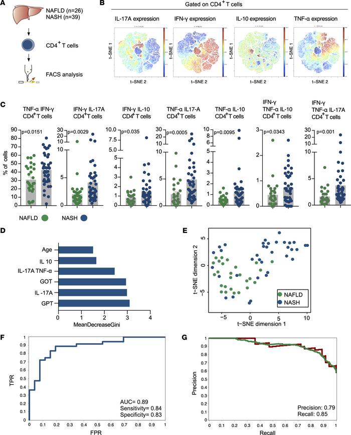 Liver CD4+ T cells in NASH had a distinct cytokine profile compared with...