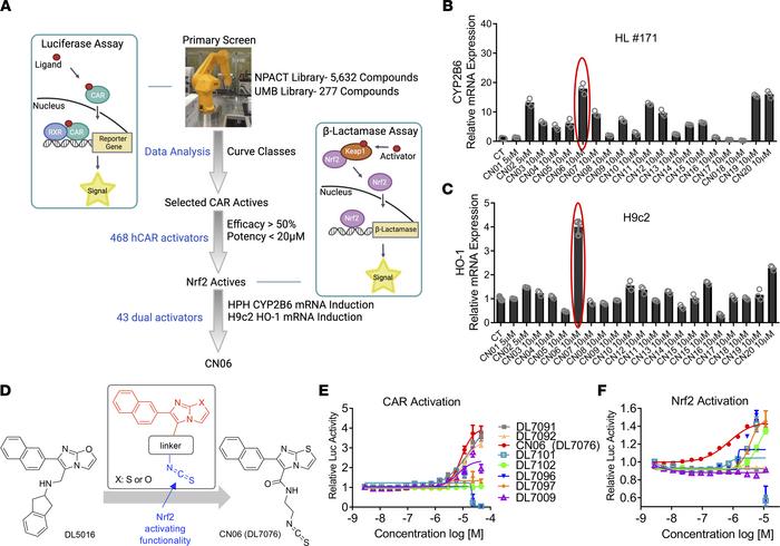 Cell-based high-throughput screening and identification of dual activato...