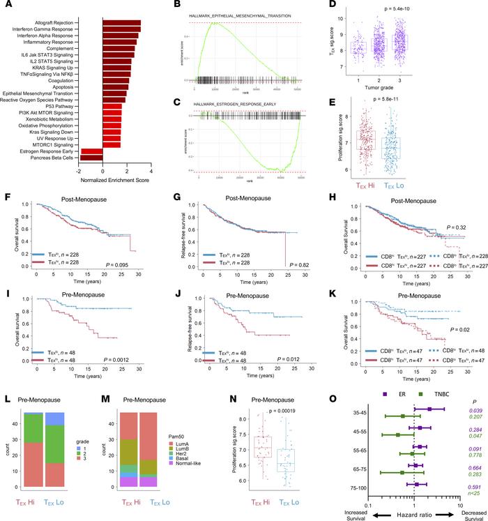 Reduced overall survival in premenopausal women with ER+ TEXhi tumors.
(...