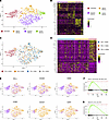 Transcriptional features of CD8+ TEX in breast tumors.
