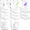 TEXhi tumors denote decreased survival in ER+ BC.