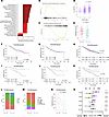 Reduced overall survival in premenopausal women with ER+ TEXhi tumors.