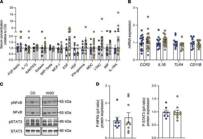 Systemic and hepatic cytokines and lack of inflammation in NHP WSD-expos...