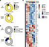 Cross-comparison of methylation and RNA-Seq data.