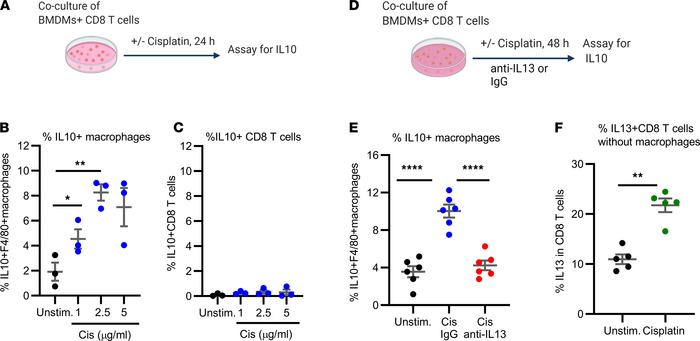 IL-13 mediates the cisplatin-induced increase in IL-10 production by mac...
