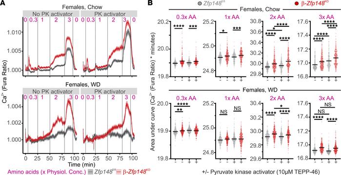 β-Zfp148KO islets show altered amino acid sensitivity.
(A) Average Ca2+ ...