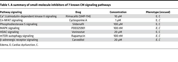 A summary of small-molecule inhibitors of 7 known CM signaling pathways