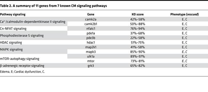 A summary of 11 genes from 7 known CM signaling pathways
