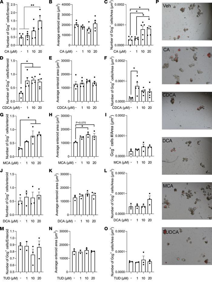 Specific BA treatment increased the growth and GLP-1+ EEC number in the ...
