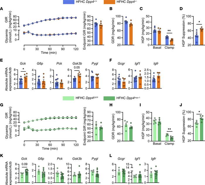 HGP is decreased in HFHC-fed Dpp4–/– and hepatocyte-specific Dpp4-knocko...