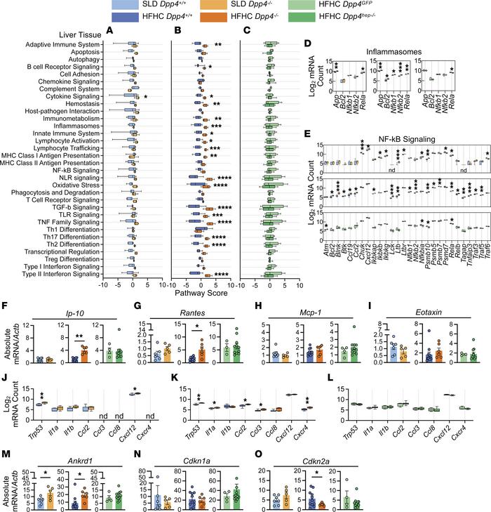 In whole liver tissue, immune-related genes and pathways are upregulated...