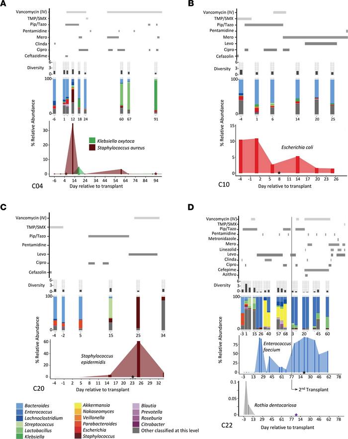 Bacterial abundance in the gut around the time of BSI.
Multiple pathogen...