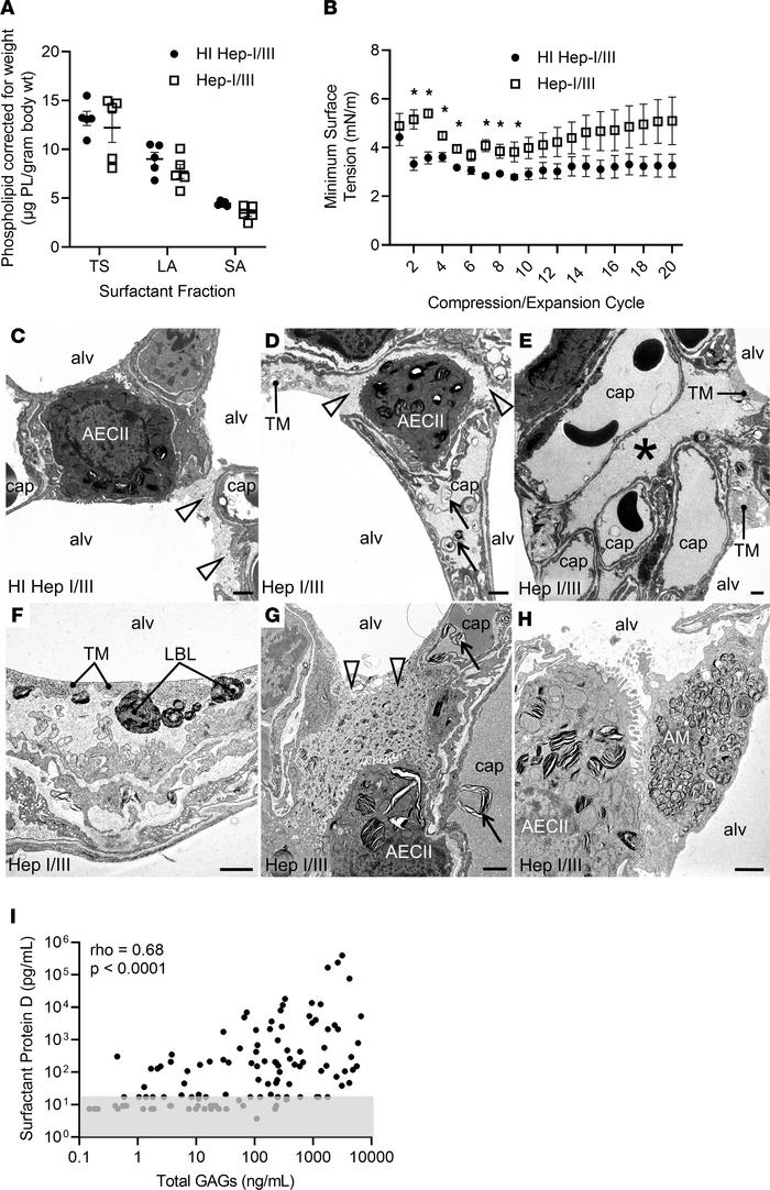 Alveolar epithelial glycocalyx degradation impairs surfactant function.
...