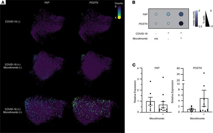 Analysis of fibroblasts’ activation in COVID-19 samples with versus with...