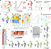 The functional and phenotypic diversity of single CD4+ T cells with prognos