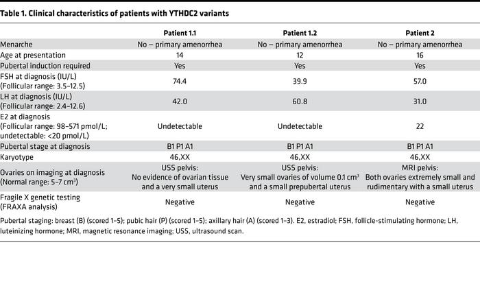 Clinical characteristics of patients with YTHDC2 variants