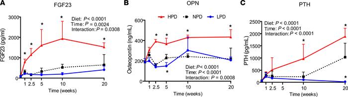 Effect of phosphorus consumption and time on phosphorus-responsive endoc...