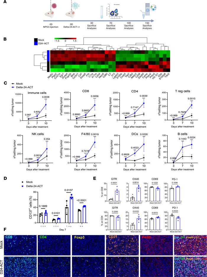 Modulation of the tumor microenvironment by Delta-24-ACT treatment.
(A) ...